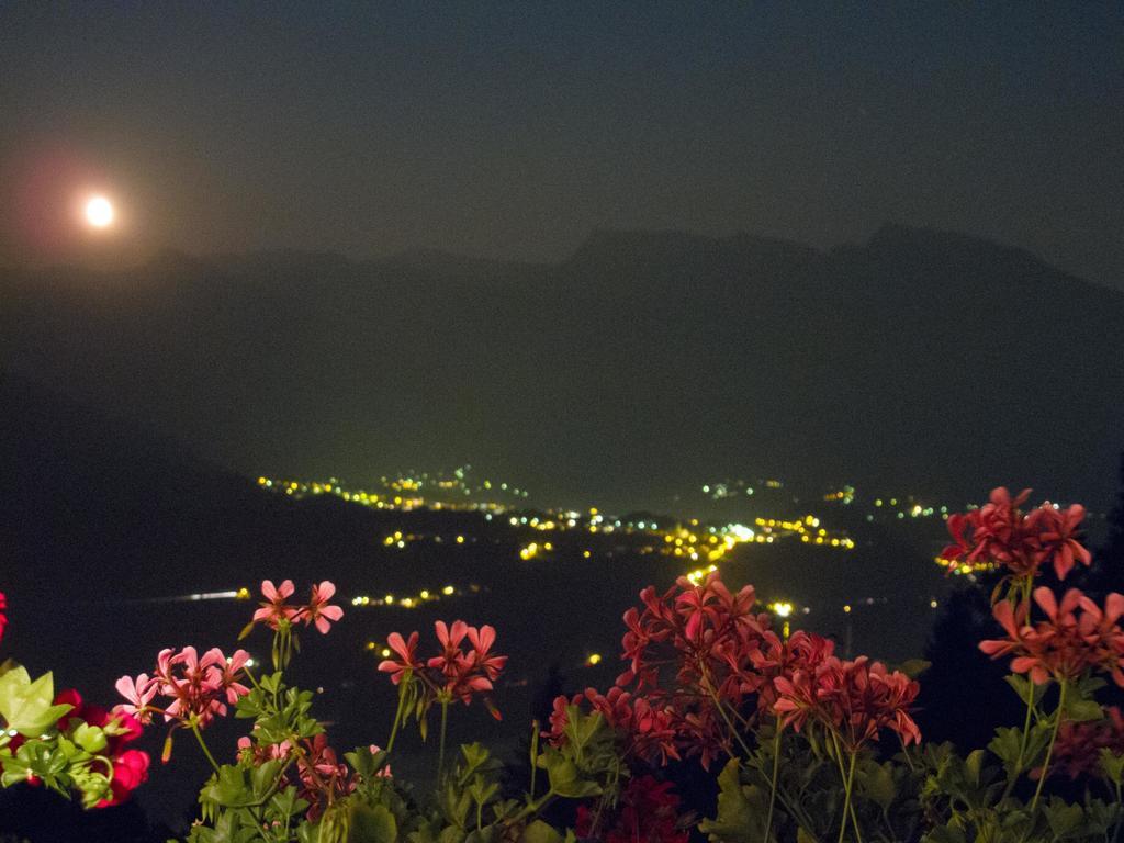 B&B Alba Sul Lago Pergine Valsugana Bagian luar foto