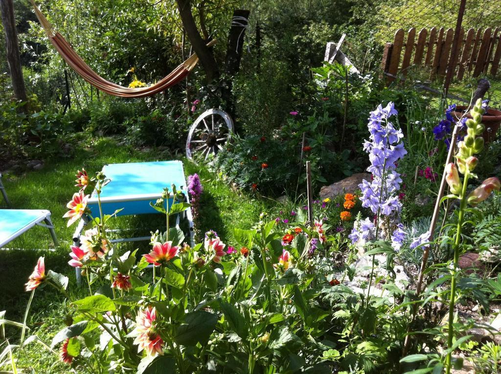 B&B Alba Sul Lago Pergine Valsugana Bagian luar foto
